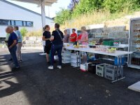IMG 3642