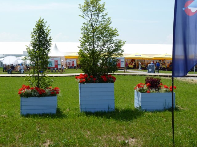 p1010353.jpg
